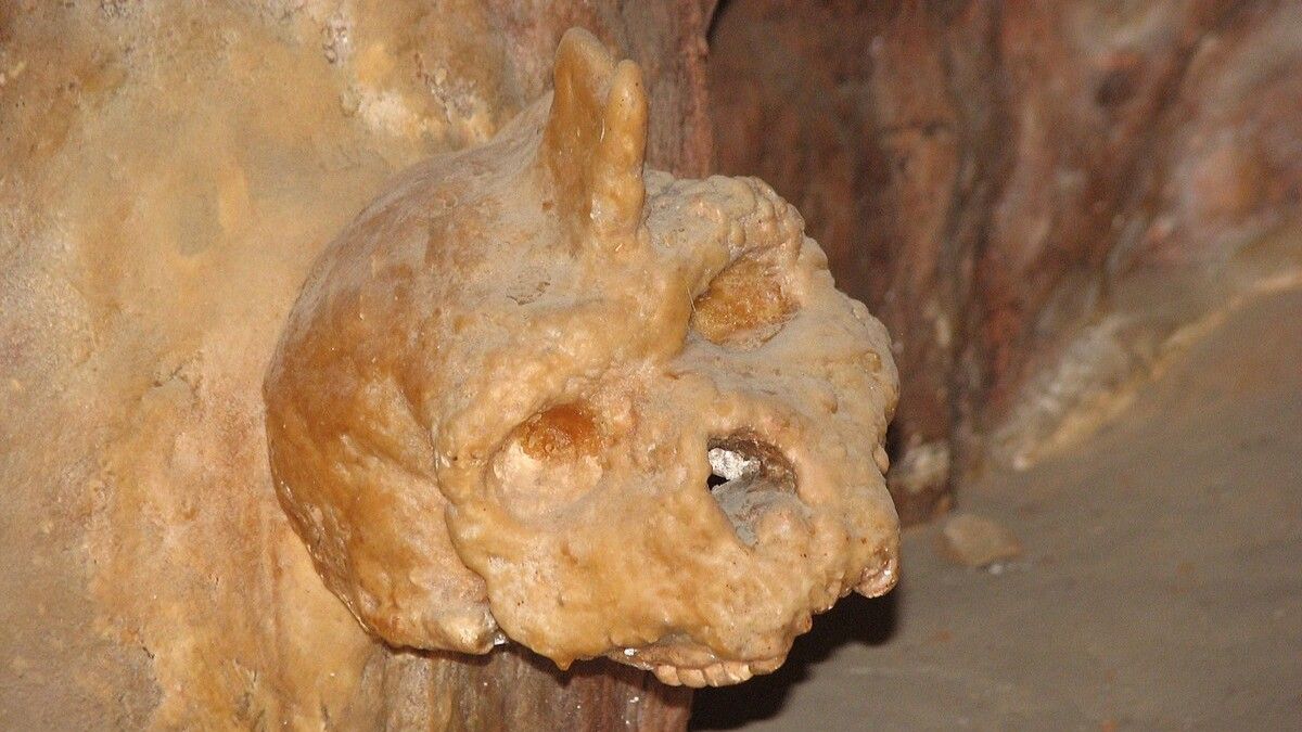 misteriosul-craniu-grecesc-de-300.000-de-ani-nu-a-fost-nici-om,-nici-neanderthal,-constata-studiul