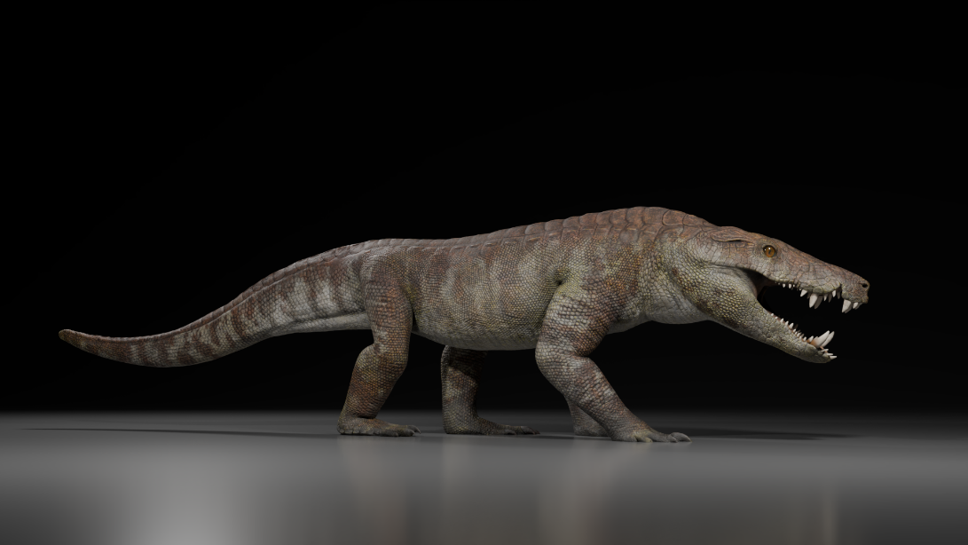 hypercarnivore-in-varsta-de-70-de-milioane-de-ani-care-a-mancat-dinozauri-numiti-dupa-zeul-egiptean