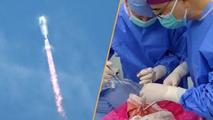 stiri-stiintifice-saptamana-aceasta:-un-prim-transplant-de-plamani-de-la-porc-la-uman,-iar-starship-ul-spacex-a-unge-un-zbor-de-testare