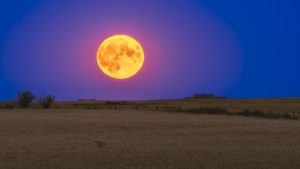 „luna-de-porumb”-completa-se-ridica-saptamana-aceasta-–-aducand-o-eclipsa-lunara-„luna-de-sange”-in-cea-mai-mare-parte-a-lumii