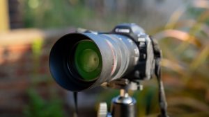canon-rf-100mm-f/2.8l-macro-este-revizuirea-lentilelor-usm