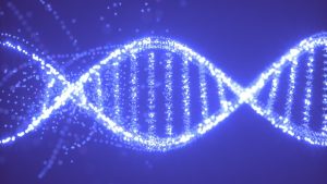 gene-ca-stramosii-umani-au-pierdut-cu-milioane-de-ani-in-urma