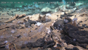 chineza-submersibila-exploreaza-cratere-uriase-necunoscute-anterior-in-partea-de-jos-a-pacificului-–-si-se-confrunta-cu-viata