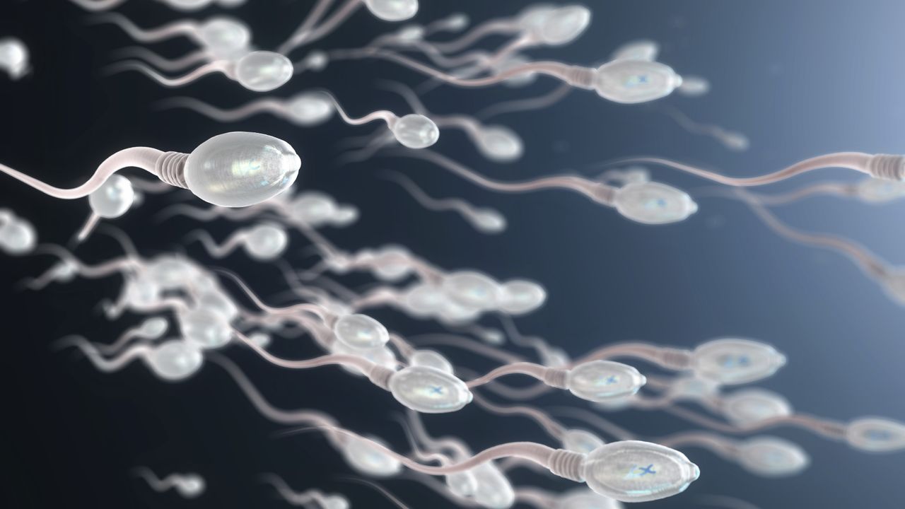 oamenii-de-stiinta-au-inventat-„bots-sperm”-pe-care-i-au-pilotat-printr-un-col-uterin-si-uter
