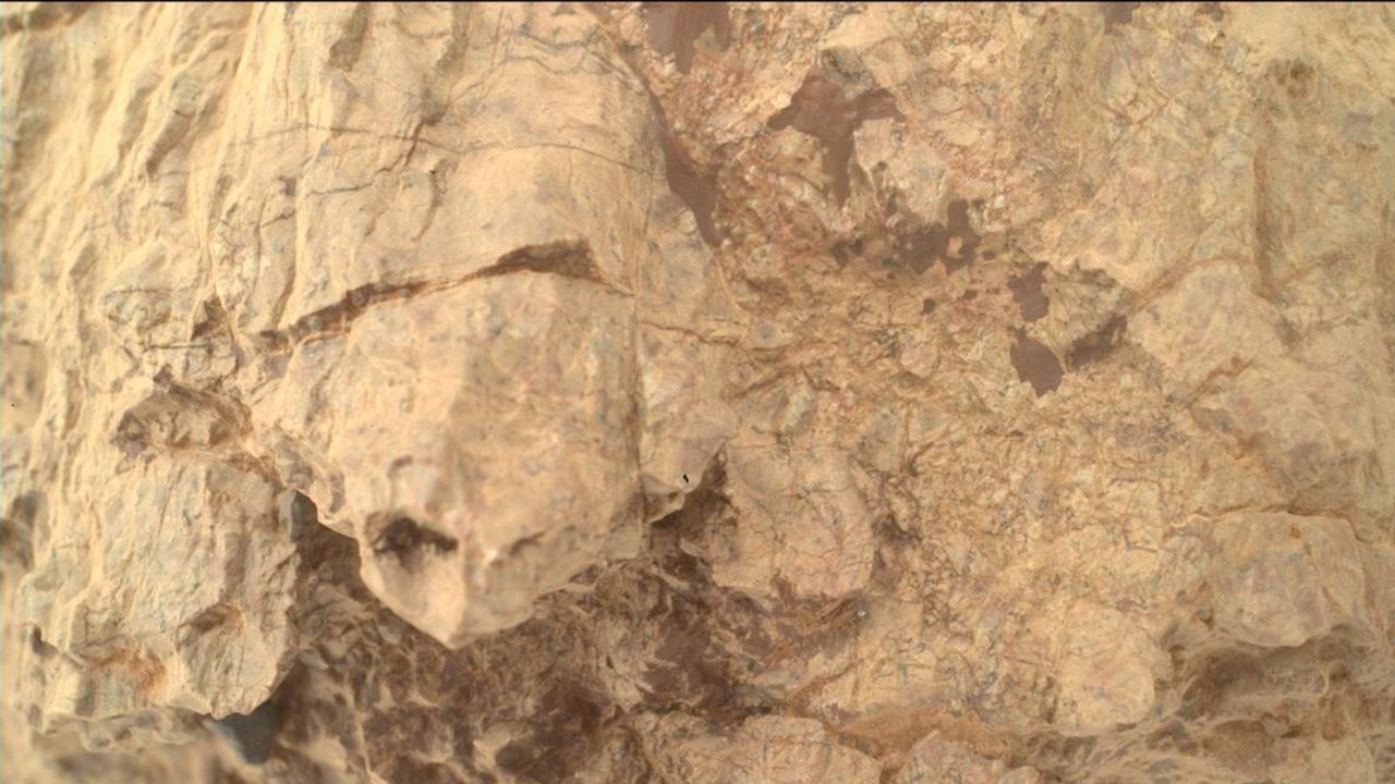 nasa-observa-bizar-„turtle”-pe-marte