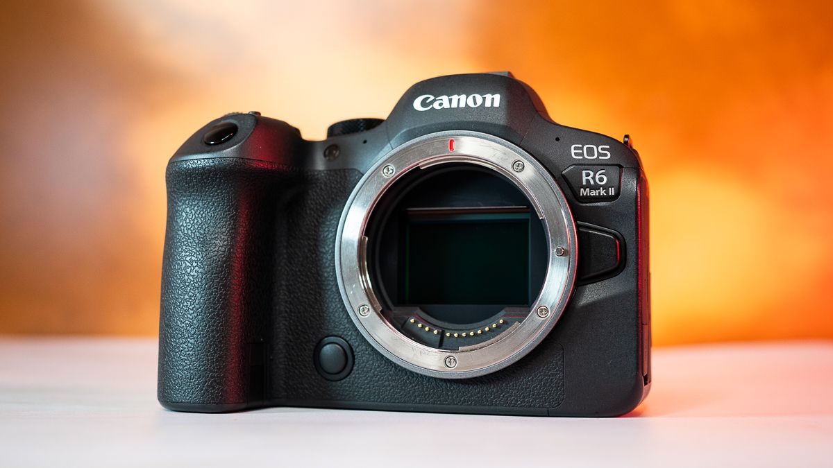 am-testat-canon-eos-r6-ii-intr-o-rezervatie-naturala-–-iata-verdictul-nostru